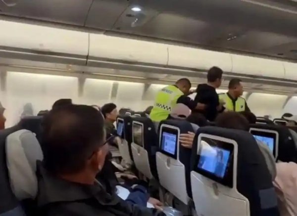马航回应“男乘客疑因拍打空姐臀部被带离机舱”：正全面调查此事，预计两周内将会公布相关调查结果