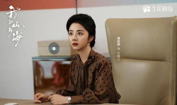 《我的山与海》大结局，狗血内容，侮辱现实主义，更像商人传记