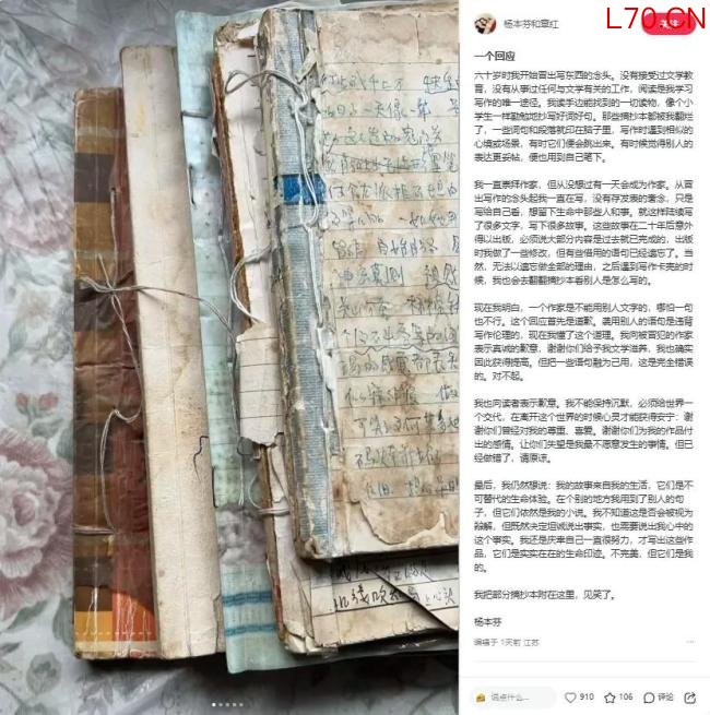 王朔回应杨本芬抄袭 只言片语算不上抄袭